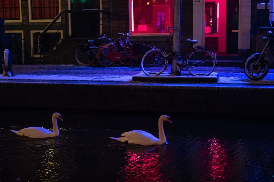 Amsterdam: Red Light District and Coffeeshop Culture Tour - Starting Off With Netherlands Context and Early Amsterdam Landmarks