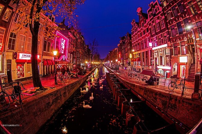 Amsterdam Red Light District tour with a private guide - Dam area and Amsterdam’s city-on-trees foundations