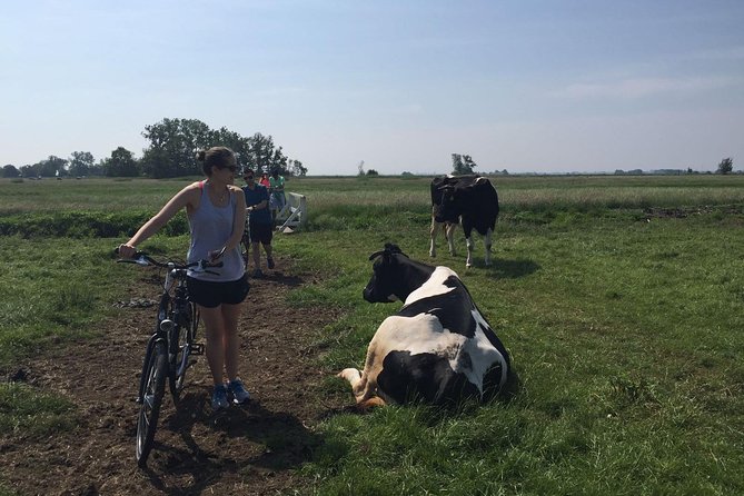 Amsterdam's Countryside Half-Day Bike Tour in Small Group - Waterland: the Dutch countryside that feels worlds away