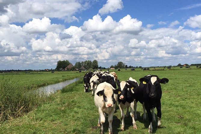 Amsterdam's Countryside Half-Day Bike Tour in Small Group - Stop in Holysloot: het Schoolhuis and the apple pie reward