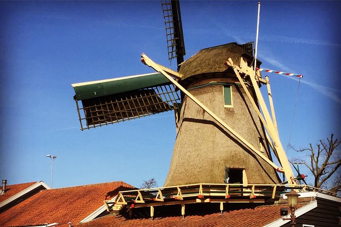 Amsterdam's Countryside Half-Day Bike Tour in Small Group - What your guide adds, beyond directions and speed