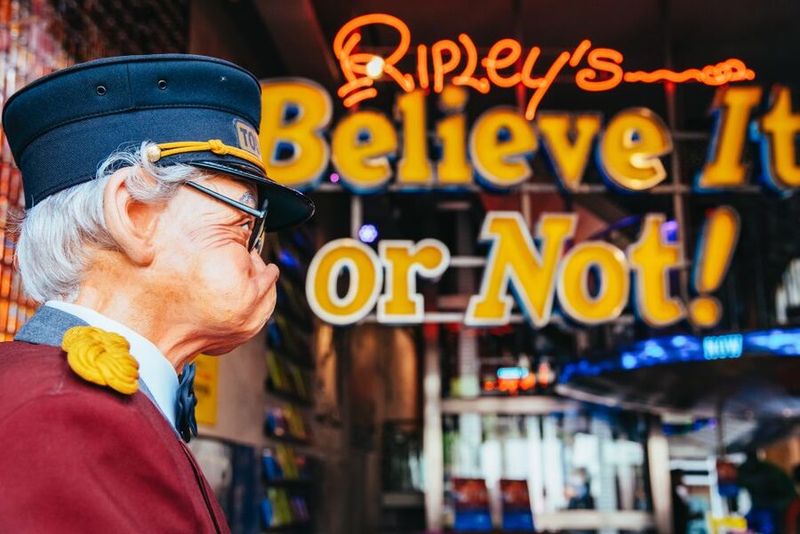 Amsterdam's Weirdest Museum: Ripley's Believe It or Not! - Top-Floor Lounge and the Dam Square View From Above