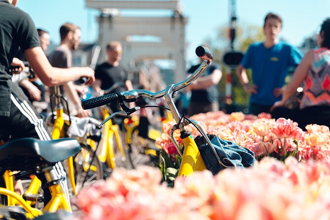 Amsterdam Small Group Bike Tour - Key highlights that make this bike tour worth it
