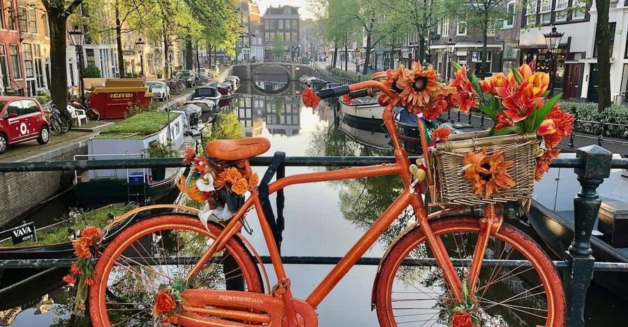 Amsterdam: Small Group Walking Tour with Fun Guide - Key highlights