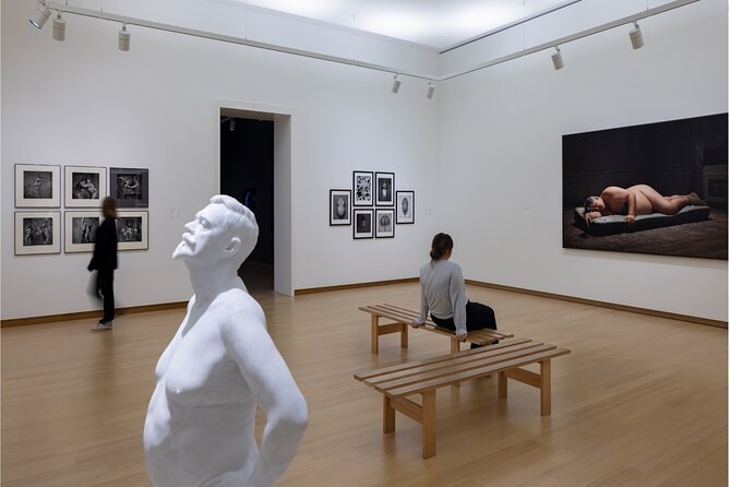 Amsterdam: Stedelijk Museum (Private Tour with Art Historian) - Modernism and Dutch De Stijl: seeing Mondrian and van Doesburg with purpose