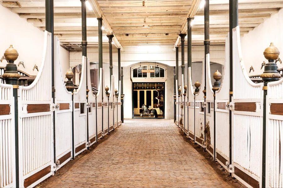 Amsterdam: The 'Hollandsche Manege' Stables Entry Ticket - Price and value: is the $18 ticket worth it?