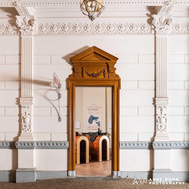 Amsterdam: The 'Hollandsche Manege' Stables Entry Ticket - Live lessons: how to watch without getting in the way
