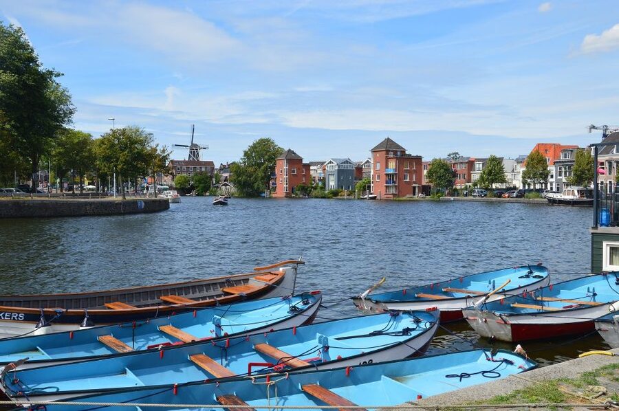 Amsterdam to Haarlem: Private Day-Trip Experience - Personalization That Changes Your Actual Day
