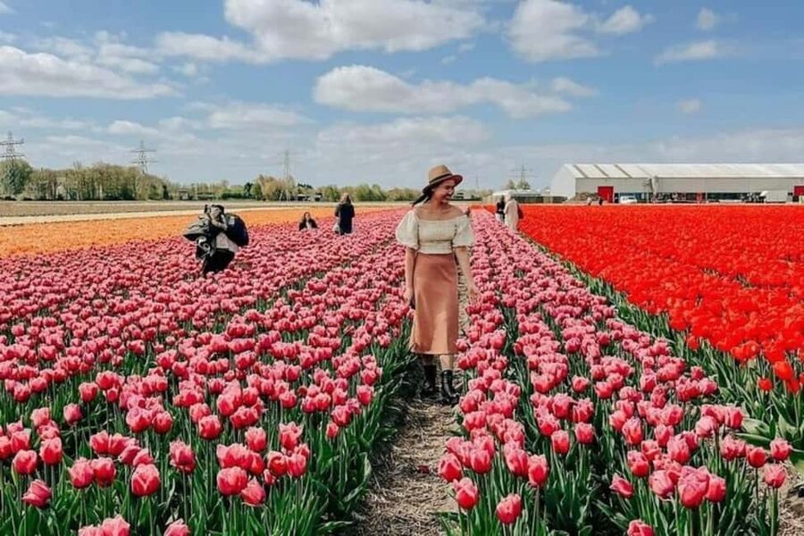 Amsterdam: Tulip Farm Visit, Keukenhof, and Windmill Cruise - Key things I’d zero in on