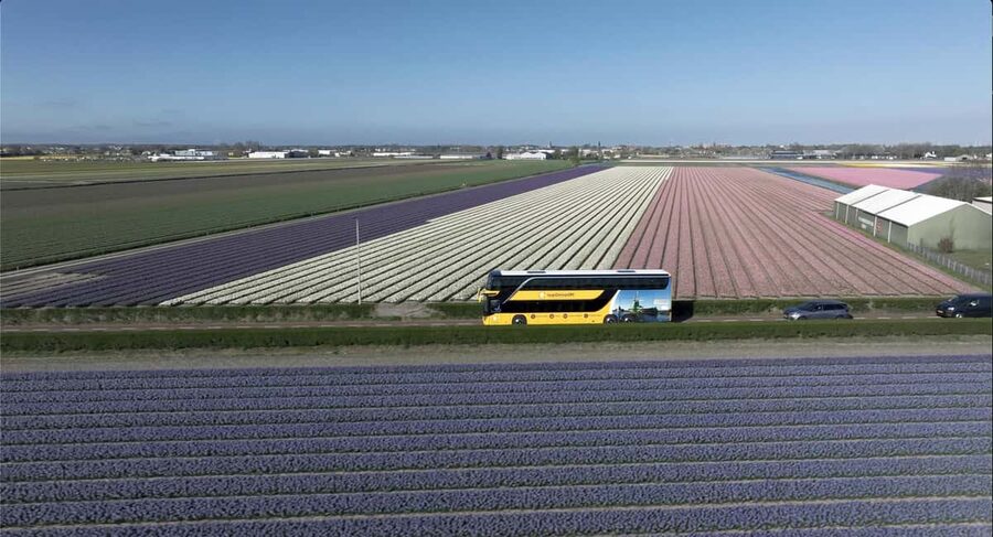 Amsterdam: Tulip Farm Visit, Keukenhof, and Windmill Cruise - Should you book this tour?