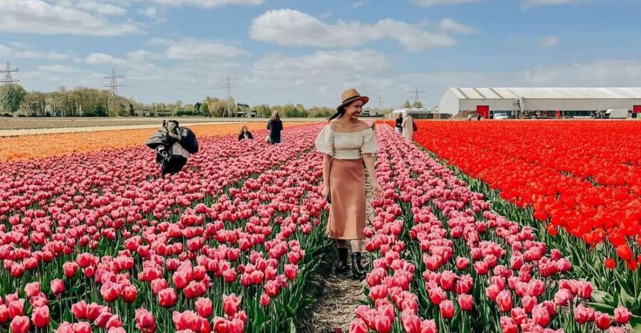 Amsterdam: Tulip Farm Visit, Keukenhof, and Windmill Cruise - Kagerplassen windmill cruise, a calm breather after the walk