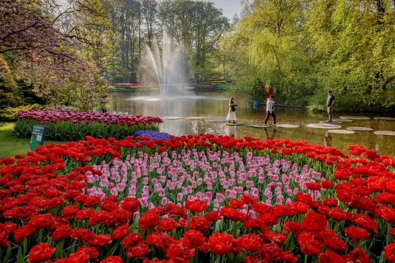 Amsterdam: Tulip Farm Visit, Keukenhof, and Windmill Cruise - Keukenhof Gardens, how to use your free time like a pro