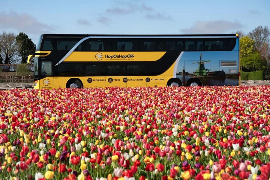 Amsterdam: Tulip Farm Visit, Keukenhof, and Windmill Cruise - Timing that may shift, and why it still works