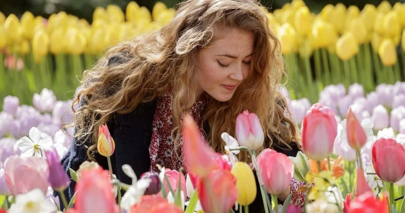 Amsterdam: Tulip Farm Visit, Keukenhof, and Windmill Cruise - Starting at This is Holland, the quick ferry beat