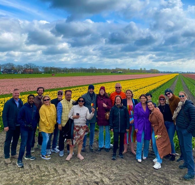 Amsterdam: Tulip Fields Day Tour with Lunch & Windmill - Key highlights you should care about