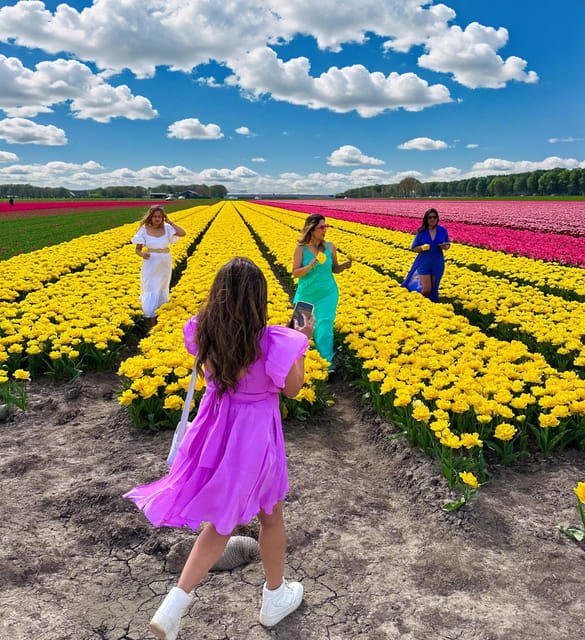 Amsterdam: Tulip Fields Day Tour with Lunch & Windmill - Getting to North Holland: Market 27 to the tulip fields