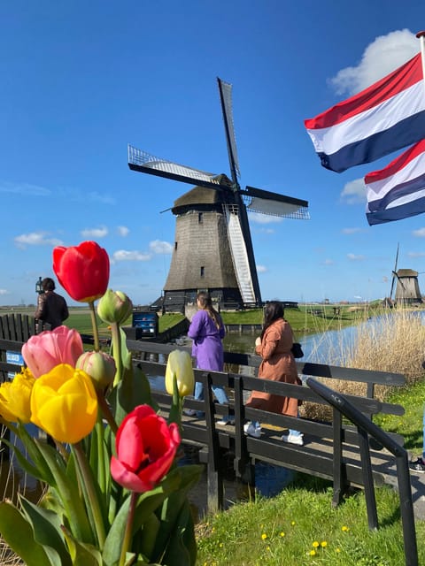 Amsterdam: Tulip Fields Day Tour with Lunch & Windmill - Photo stops and viewpoints: how to get better tulip pictures
