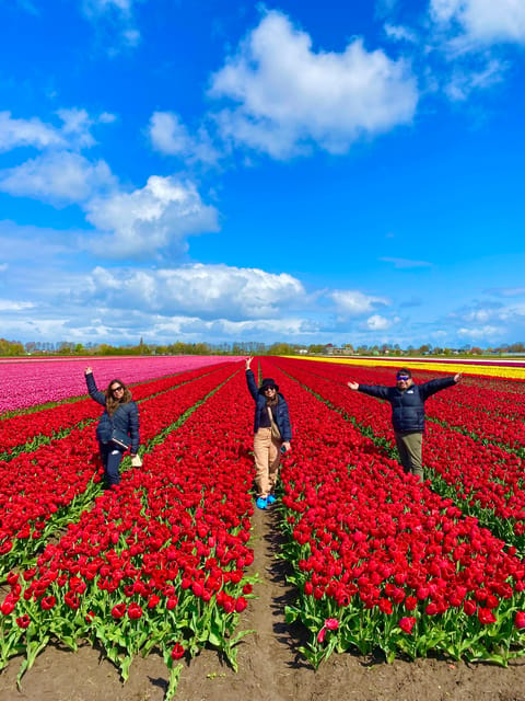 Amsterdam: Tulip Fields Day Tour with Lunch & Windmill - The 1633 windmill visit: what makes it feel real