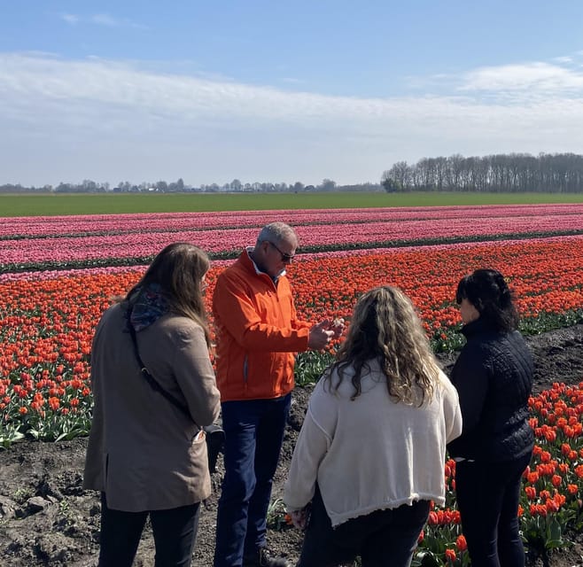 Amsterdam: Tulip Fields Day Tour with Lunch & Windmill - Where the route north actually helps: avoiding the biggest crowds