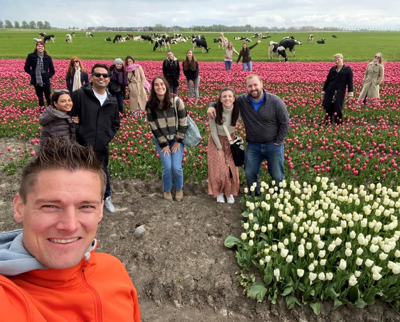 Amsterdam: Tulip Fields Day Tour with Lunch & Windmill - Coach comfort and group size: small enough to feel personal