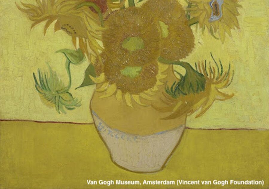 Amsterdam: Van Gogh Museum Guided Tour with Entry - Spanish guide magic: how the tour changes what you see