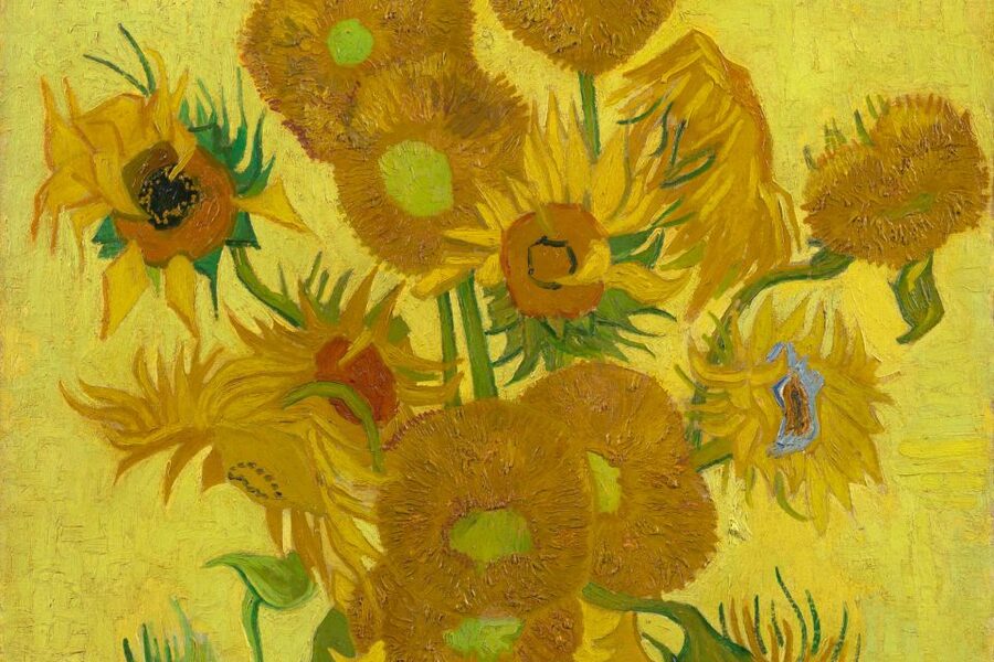 Amsterdam: Van Gogh Museum Ticket - What You’ll See in 90 Minutes: Paintings, Drawings, Letters, and Storytelling