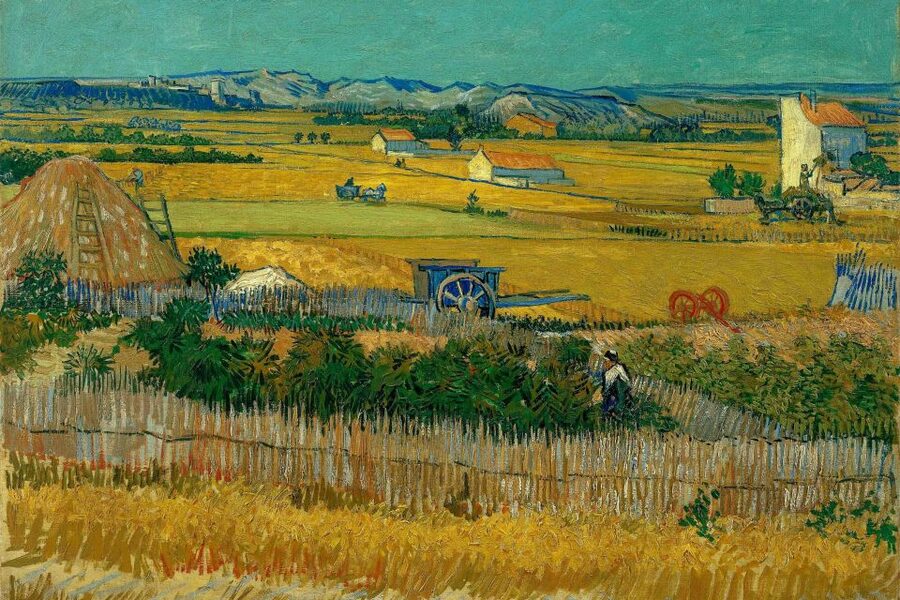 Amsterdam: Van Gogh Museum Ticket & Canal Cruise - Key points to know before you go