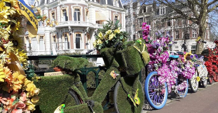 Amsterdam Walking Tour and Canal Cruise - Price and value: what you are really paying for