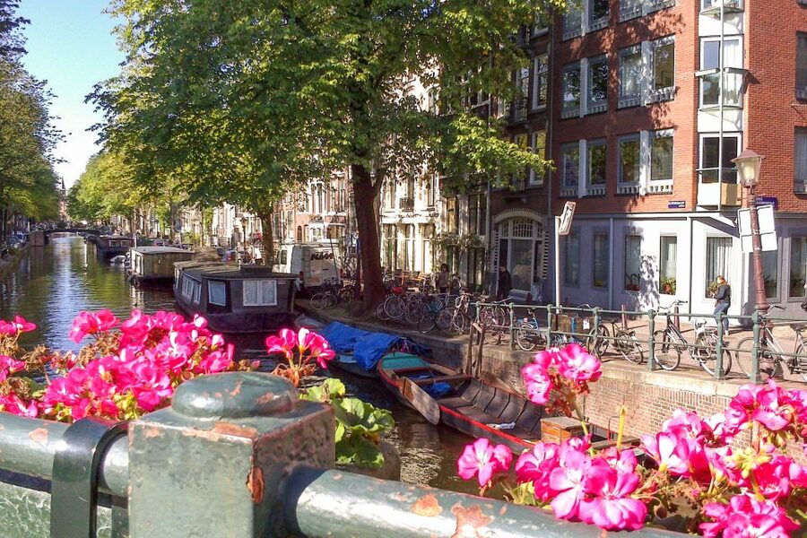 Amsterdam Walking Tour and Canal Cruise - How this 4-hour private format helps you get oriented