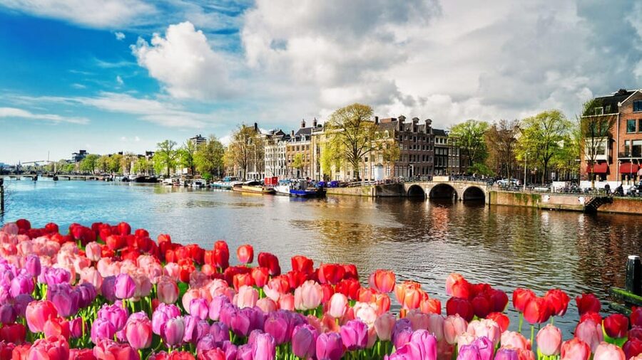 Amsterdam Walking Tour with a Local - The insider payoffs: where to eat, shop, and wander next