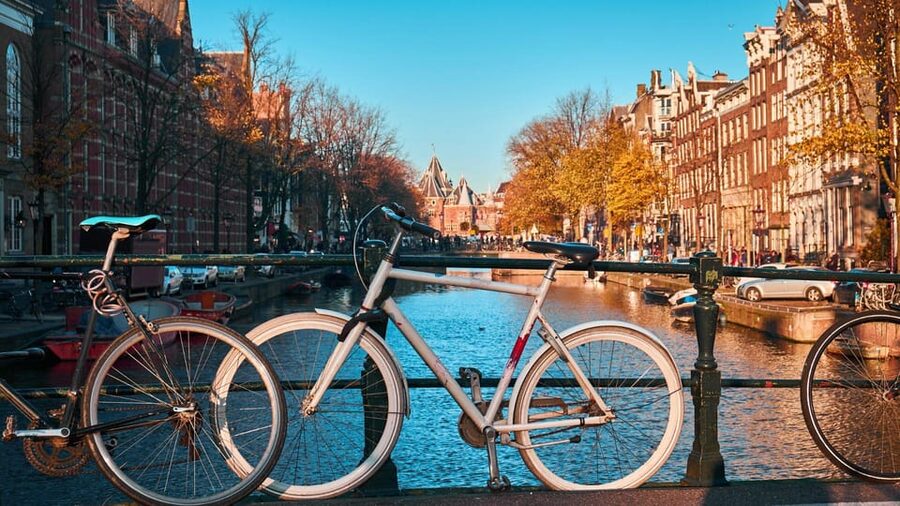 Amsterdam Walking Tour with a Local - Who should book this Amsterdam Walking Tour with a Local