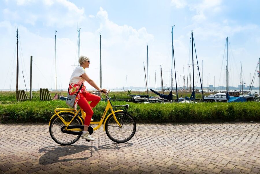 Amsterdam: Waterland District Countryside Villages Bike Tour - Why this Waterland bike tour is worth your half-day