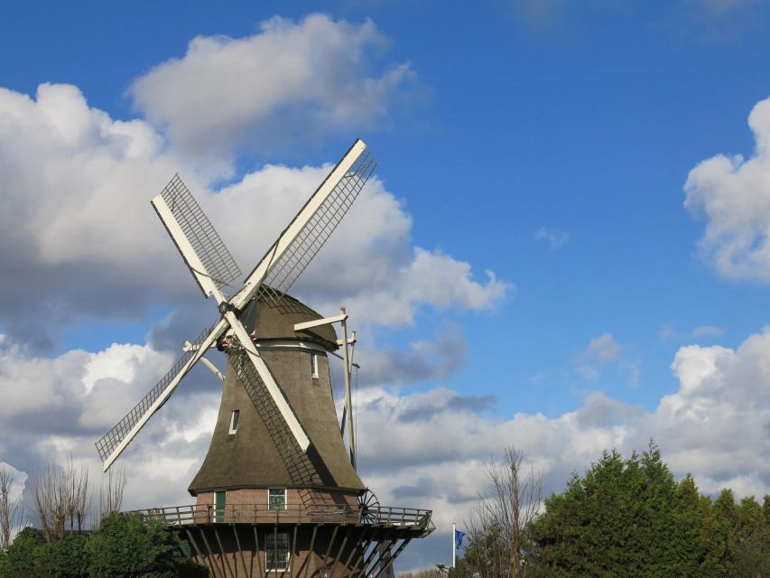 Amsterdam: Windmill Guided Tour - Key points to know before you go
