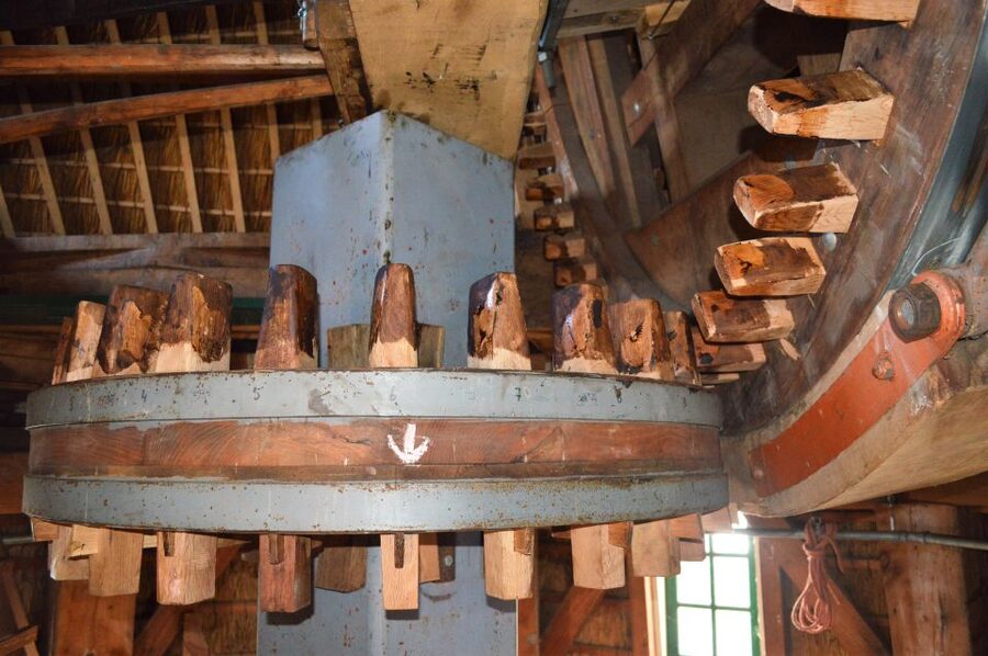 Amsterdam: Windmill Guided Tour - From the top: Ringvaart Canal views you can actually use