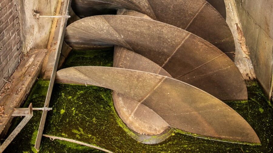 Amsterdam: Windmill Guided Tour - Who should book this windmill tour (and who might not)