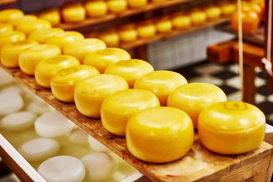 Amsterdam: Zaanse Schans, Cheese Tasting & Volendam Tour - The ride out of the city: comfort plus a cultural walkthrough