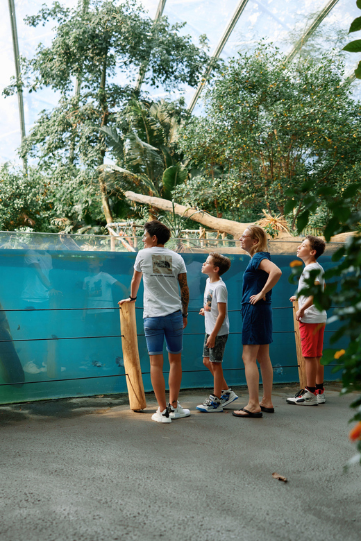 Arnhem: Burgers' Zoo Entry Ticket - Key things I’d plan around