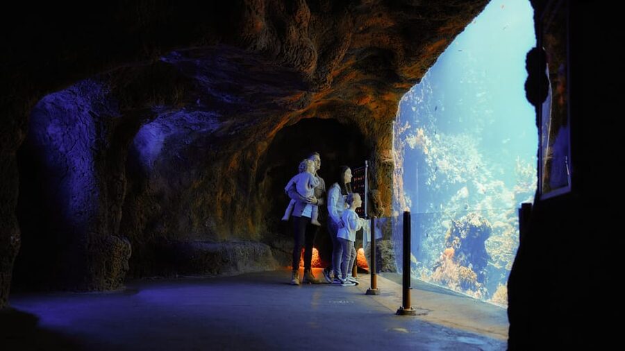 Arnhem: Burgers' Zoo Entry Ticket - Desert + Ocean: Mexican-American rock terrain, coral reef, and vultures