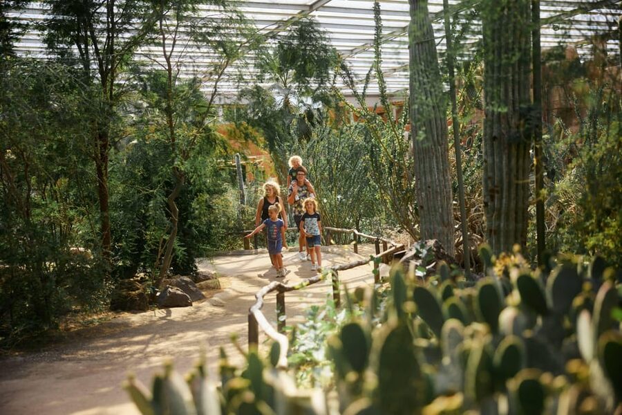 Arnhem: Burgers' Zoo Entry Ticket - Safari + Rimba: giraffes and rhinos on the plains, plus the Malay rainforest feel