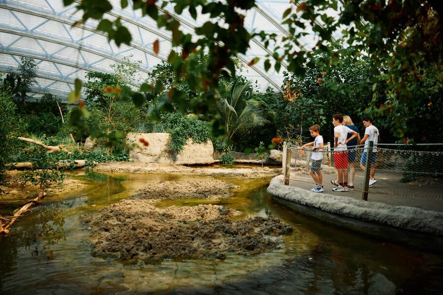 Arnhem: Burgers' Zoo Entry Ticket - Food, comfort, and the small costs that affect your day