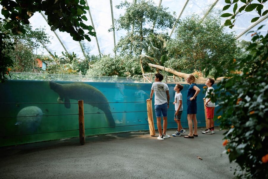 Arnhem: Burgers' Zoo Entry Ticket - What the best reviews are pointing to, and how to use that info