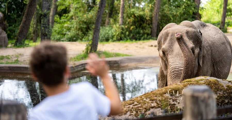 Arnhem: Burgers' Zoo Entry Ticket - 8 hours and 45 hectares: how to pace your visit
