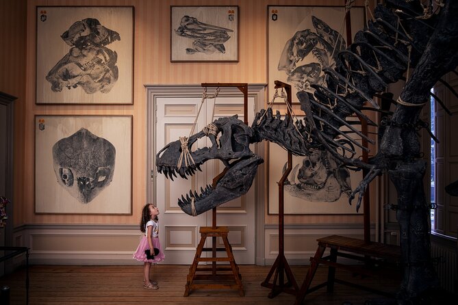 Art Zoo Museum Amsterdam Tickets - Key highlights worth your time