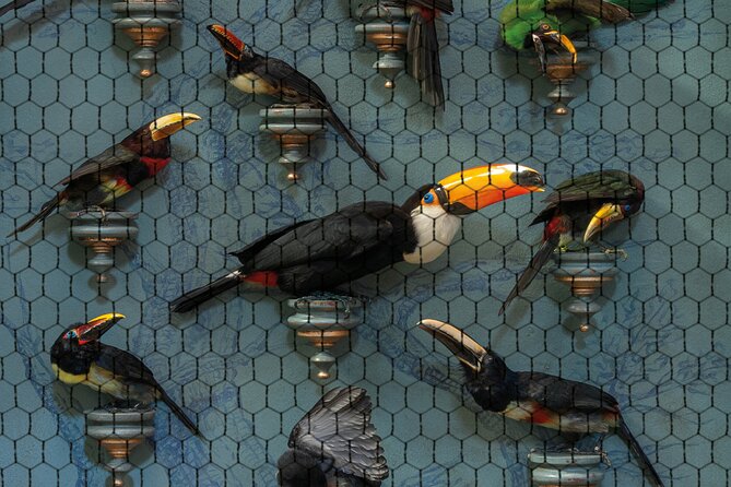 Art Zoo Museum Amsterdam Tickets - The science-meets-art feel and that chamber lighting