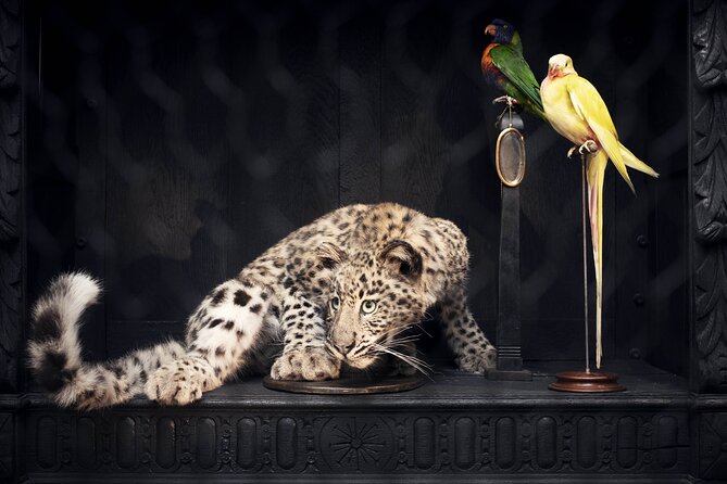 Art Zoo Museum Amsterdam Tickets - Stopping in the historic garden and Italian bar coffee