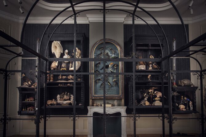 Art Zoo Museum Amsterdam Tickets - Price and timing: is $21.12 good value?