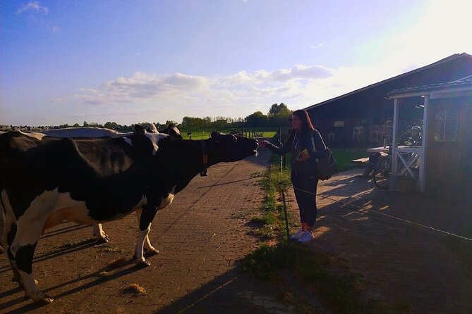 Best of Dutch Countryside: Giethoorn, Windmills, Secret Villages - Food and value: why this day trip adds up at $154.80