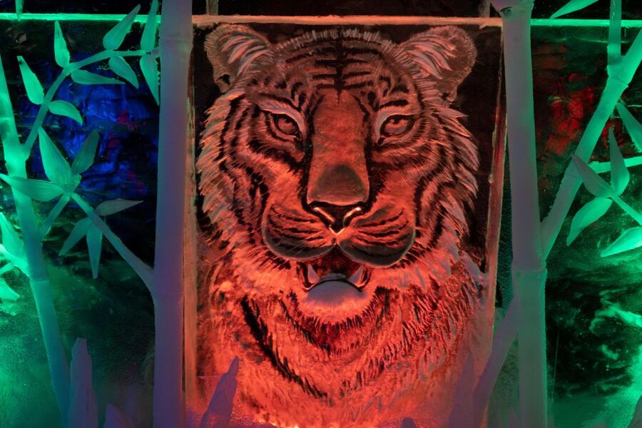 Biddinghuizen: Dutch Ice Sculpture Festival Entry Ticket - Who should book this ticket (and who should skip)