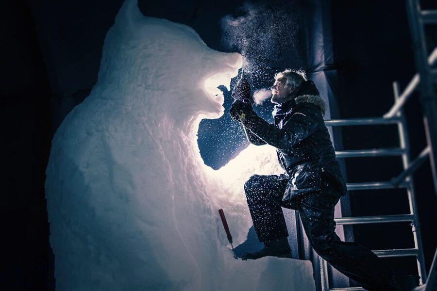 Biddinghuizen: Dutch Ice Sculpture Festival Entry Ticket - Should you book the Biddinghuizen Ice Sculpture Festival ticket?
