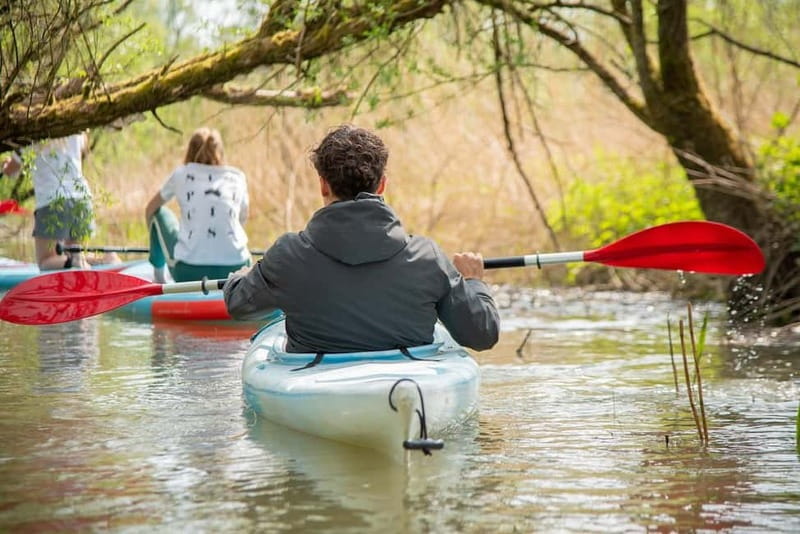 Biesbosch: Kayak Rental with Route Map and Life Jacket - Key things that make this canoe rental work